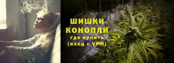 шишки Алексеевка
